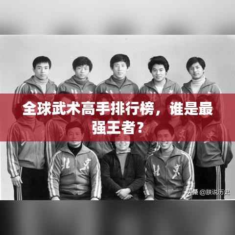 全球武术高手排行榜,谁是最强王者?