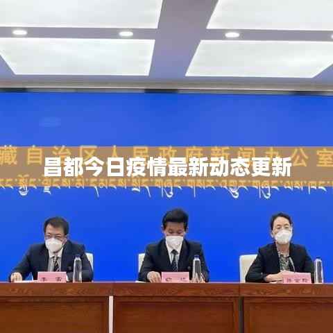 昌都今日疫情最新动态更新