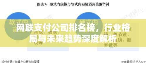 网联支付公司排名榜，行业格局与未来趋势深度解析
