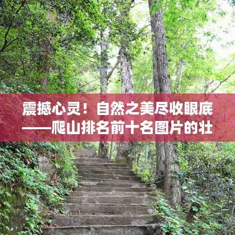 震撼心灵!自然之美尽收眼底——爬山排名前十名图片的壮丽世界探索