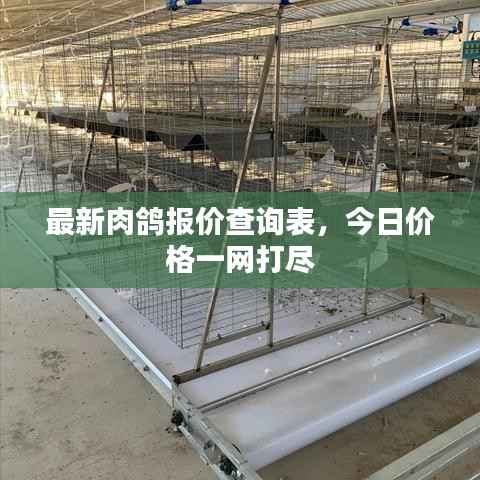 最新肉鸽报价查询表,今日价格一网打尽