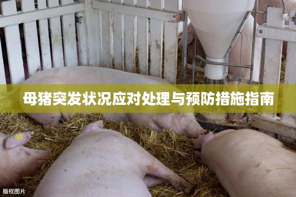 张王李赵 第5页