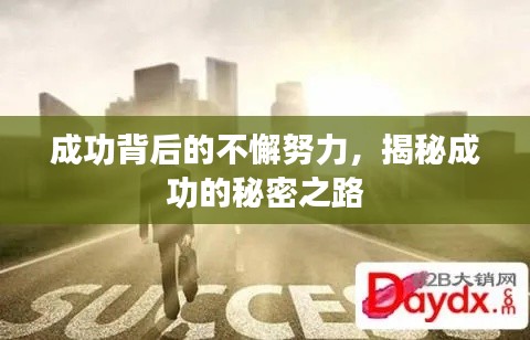 成功背后的不懈努力，揭秘成功的秘密之路