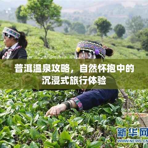 普洱温泉攻略，自然怀抱中的沉浸式旅行体验