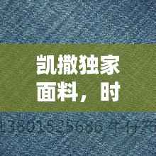 凯撒独家面料，时尚与品质的绝美融合