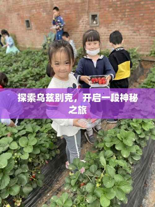 漫天飞舞 第6页