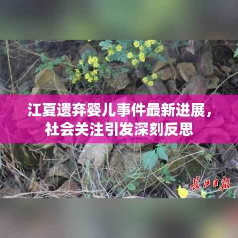 江夏遗弃婴儿事件最新进展，社会关注引发深刻反思