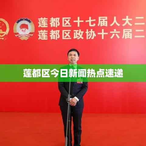 莲都区今日新闻热点速递