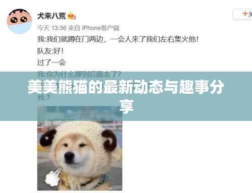美美熊猫的最新动态与趣事分享