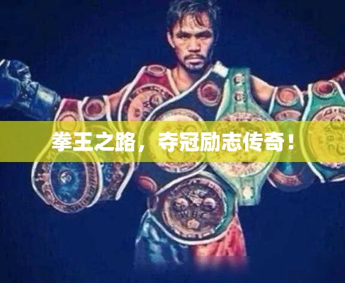 拳王之路，夺冠励志传奇！