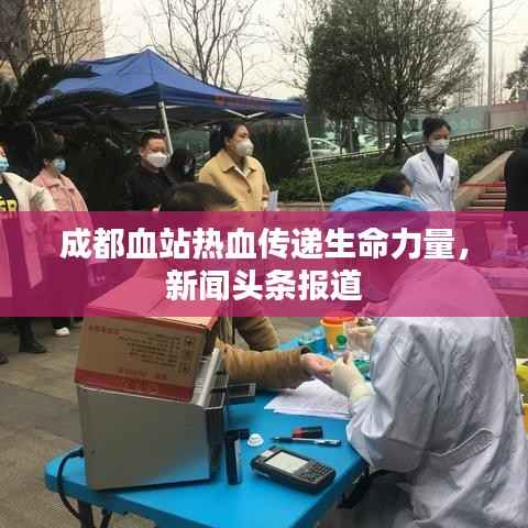 成都血站热血传递生命力量，新闻头条报道