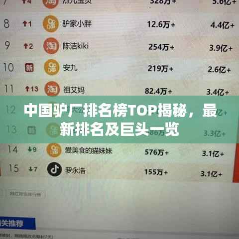 中国驴厂排名榜TOP揭秘，最新排名及巨头一览