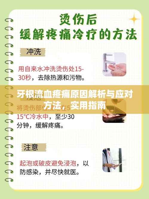牙根流血疼痛原因解析与应对方法,实用指南
