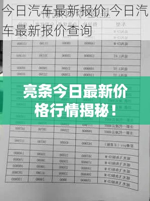 亮条今日最新价格行情揭秘！