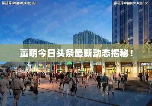 董萌今日头条最新动态揭秘！