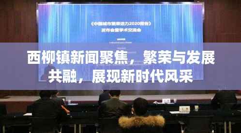 西柳镇新闻聚焦，繁荣与发展共融，展现新时代风采