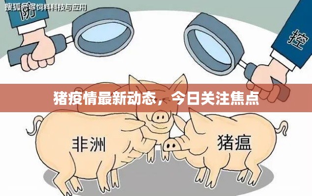 猪疫情最新动态，今日关注焦点