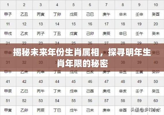 揭秘未来年份生肖属相,探寻明年生肖年限的秘密