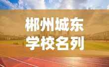 郴州城东学校名列前茅，优质教育典范闪耀光芒！