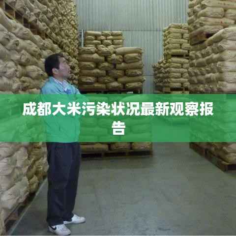 成都大米污染状况最新观察报告