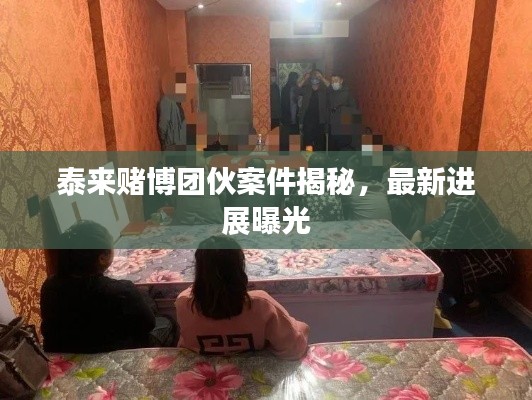 泰来赌博团伙案件揭秘,最新进展曝光