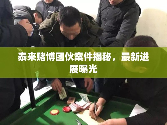 泰来赌博团伙案件揭秘,最新进展曝光
