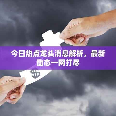 今日热点龙头消息解析，最新动态一网打尽