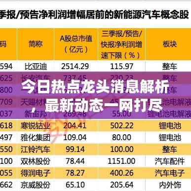 今日热点龙头消息解析,最新动态一网打尽