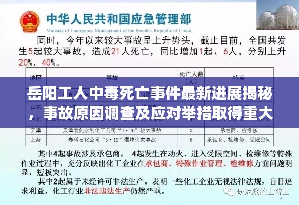 岳阳工人中毒死亡事件最新进展揭秘，事故原因调查及应对举措取得重大突破！