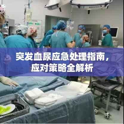 突发血尿应急处理指南，应对策略全解析