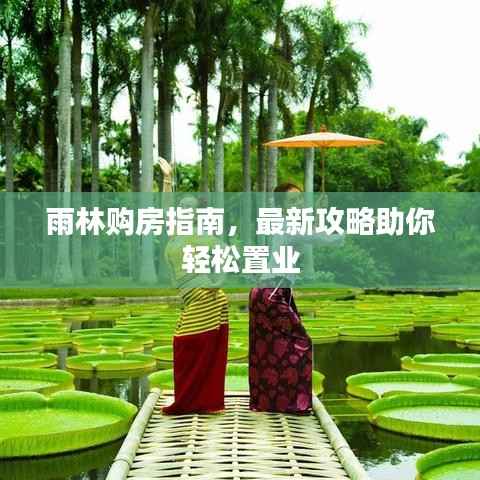 雨林购房指南，最新攻略助你轻松置业