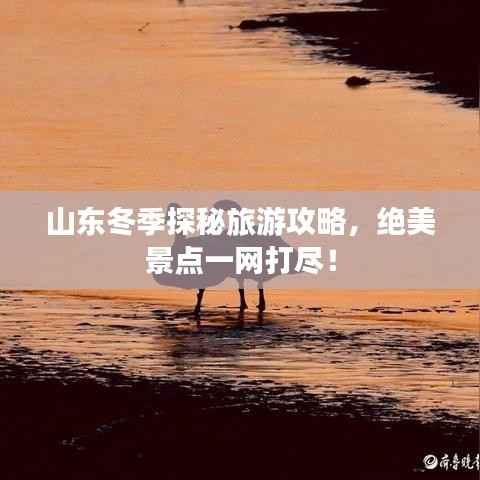 山东冬季探秘旅游攻略，绝美景点一网打尽！