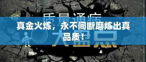真金火炼，永不间断磨炼出真品质！