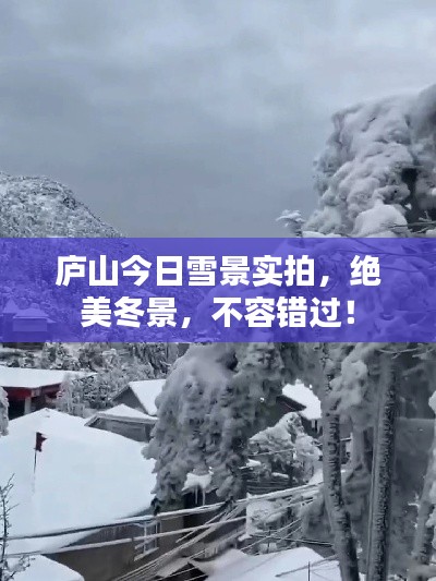 庐山今日雪景实拍，绝美冬景，不容错过！