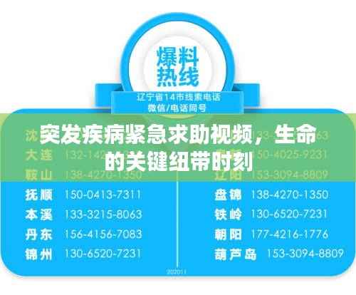 突发疾病紧急求助视频,生命的关键纽带时刻