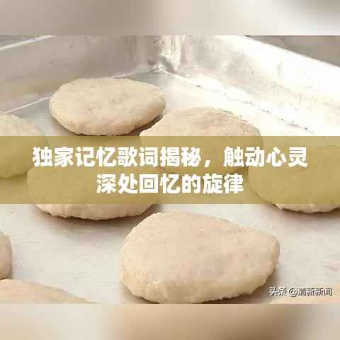 独家记忆歌词揭秘，触动心灵深处回忆的旋律