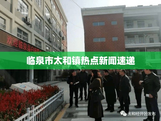 临泉市太和镇热点新闻速递