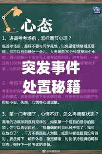 突发事件处置秘籍,应对策略与实用方法一网打尽!