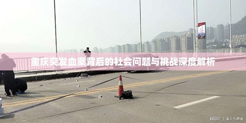 重庆突发血案背后的社会问题与挑战深度解析