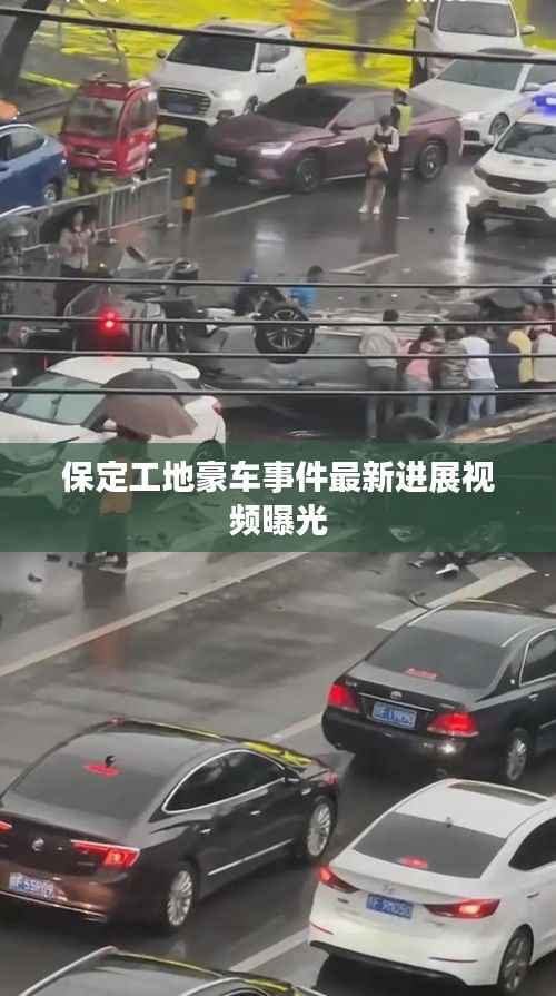 夯雀儿先飞 第5页