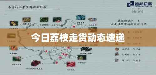 今日荔枝走货动态速递