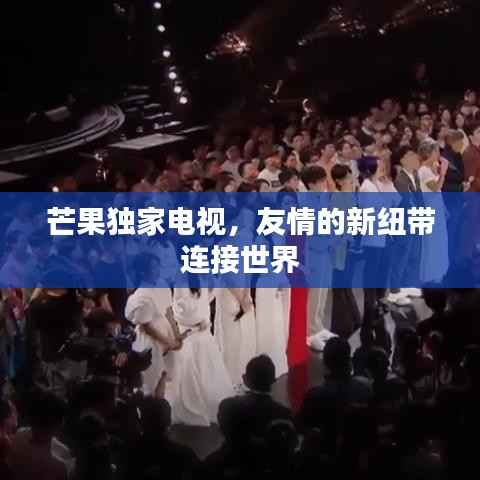 芒果独家电视,友情的新纽带连接世界