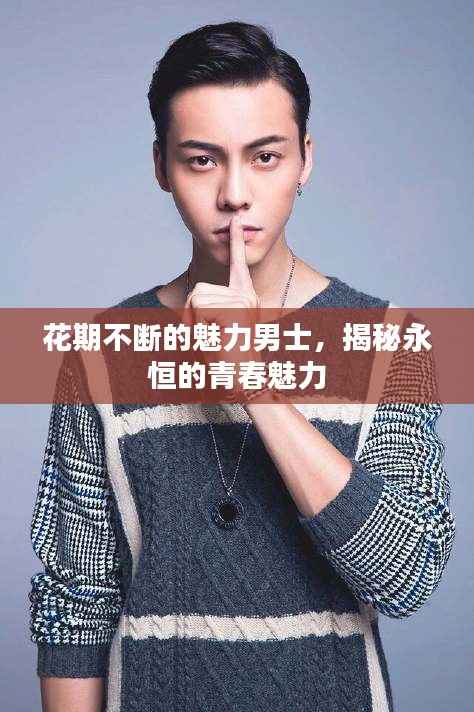 花期不断的魅力男士，揭秘永恒的青春魅力