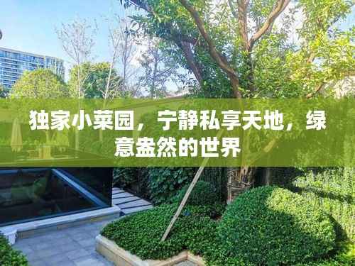 独家小菜园，宁静私享天地，绿意盎然的世界