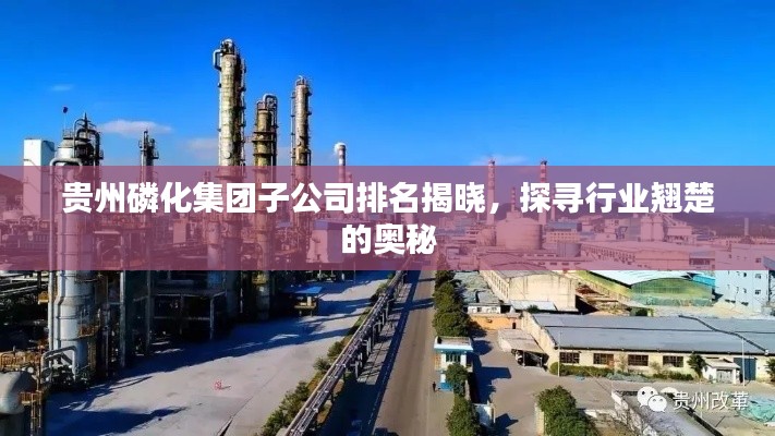 纲举目张 第4页