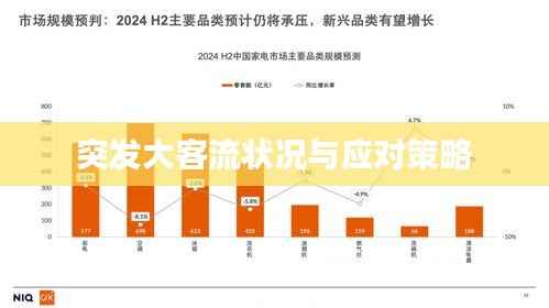 突发大客流状况与应对策略