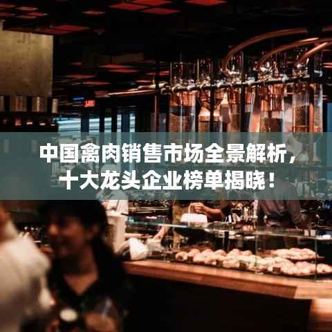 腾龙换鸟 第4页