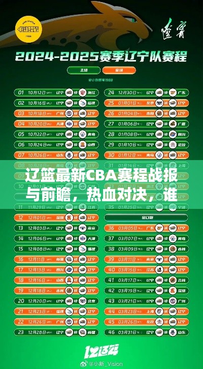 辽篮最新CBA赛程战报与前瞻,热血对决,谁将胜出?