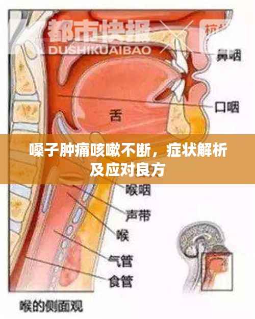 嗓子肿痛咳嗽不断,症状解析及应对良方