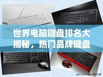 世界电脑键盘排名大揭秘，热门品牌键盘对比与评测